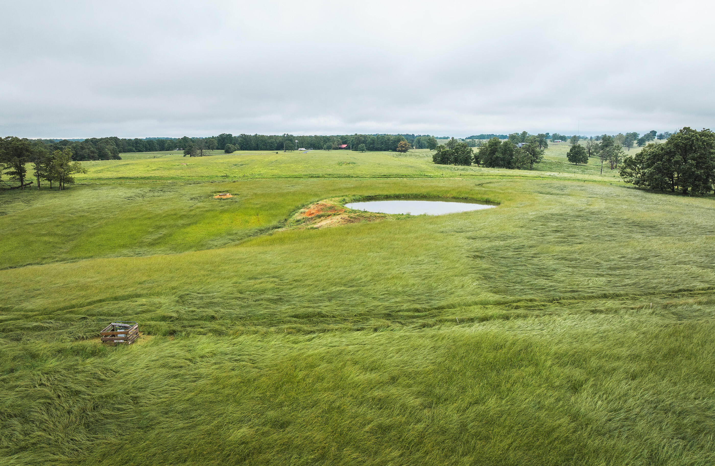 Photo 19 - Land for sale – 000  Farm Road 1200   Crane, MO
