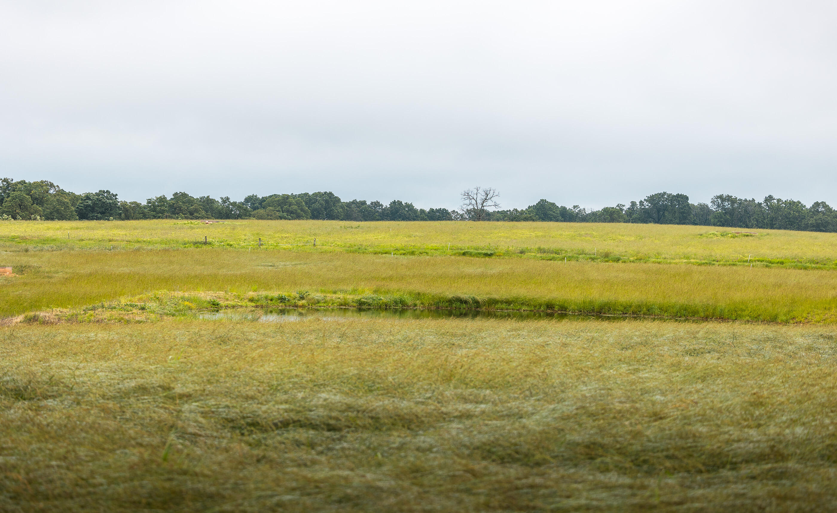 Photo 43 - Land for sale – 000  Farm Road 1200   Crane, MO
