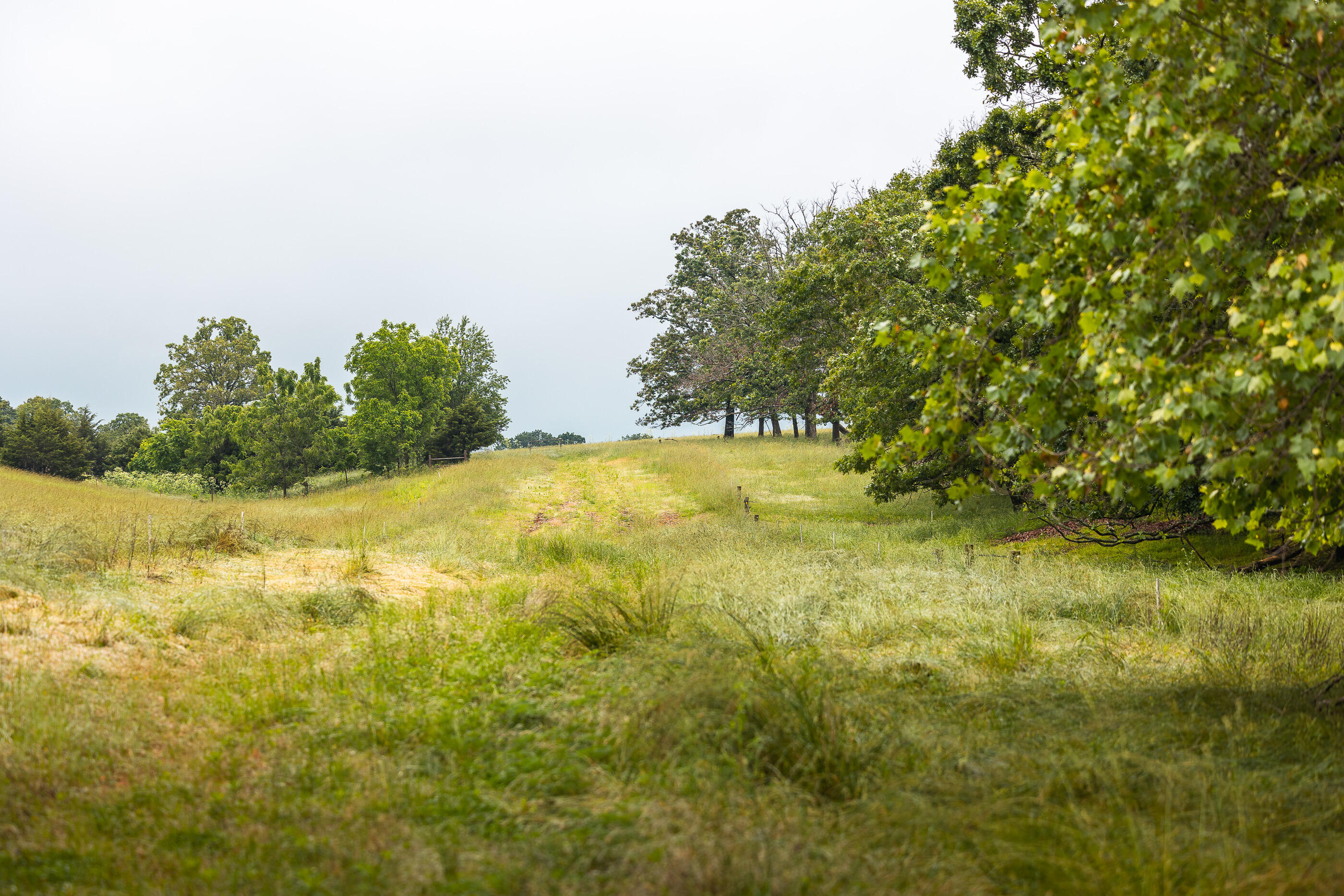 Photo 46 - Land for sale – 000  Farm Road 1200   Crane, MO