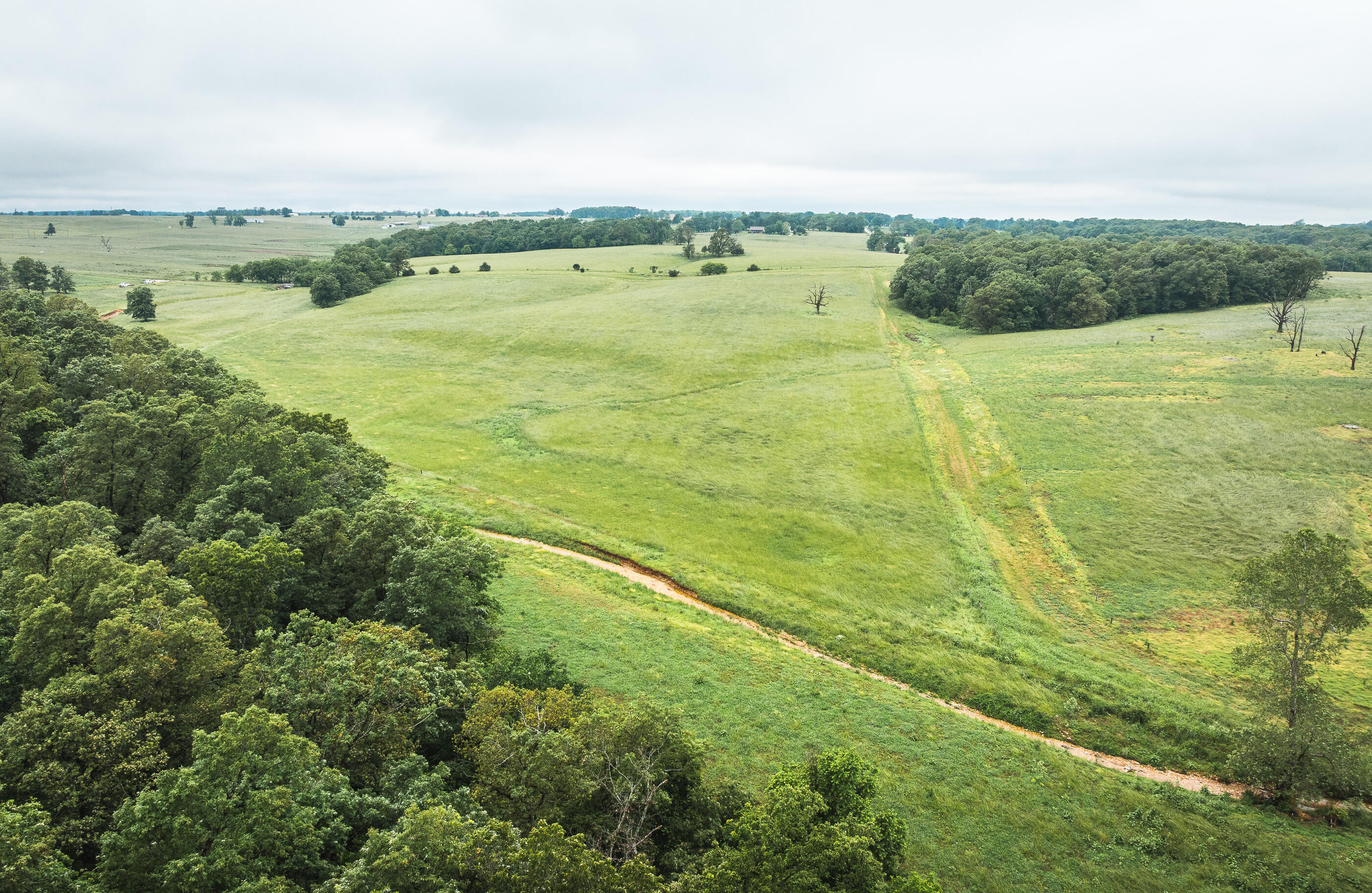 Photo 25 - Land for sale – 000  Farm Road 1200   Crane, MO