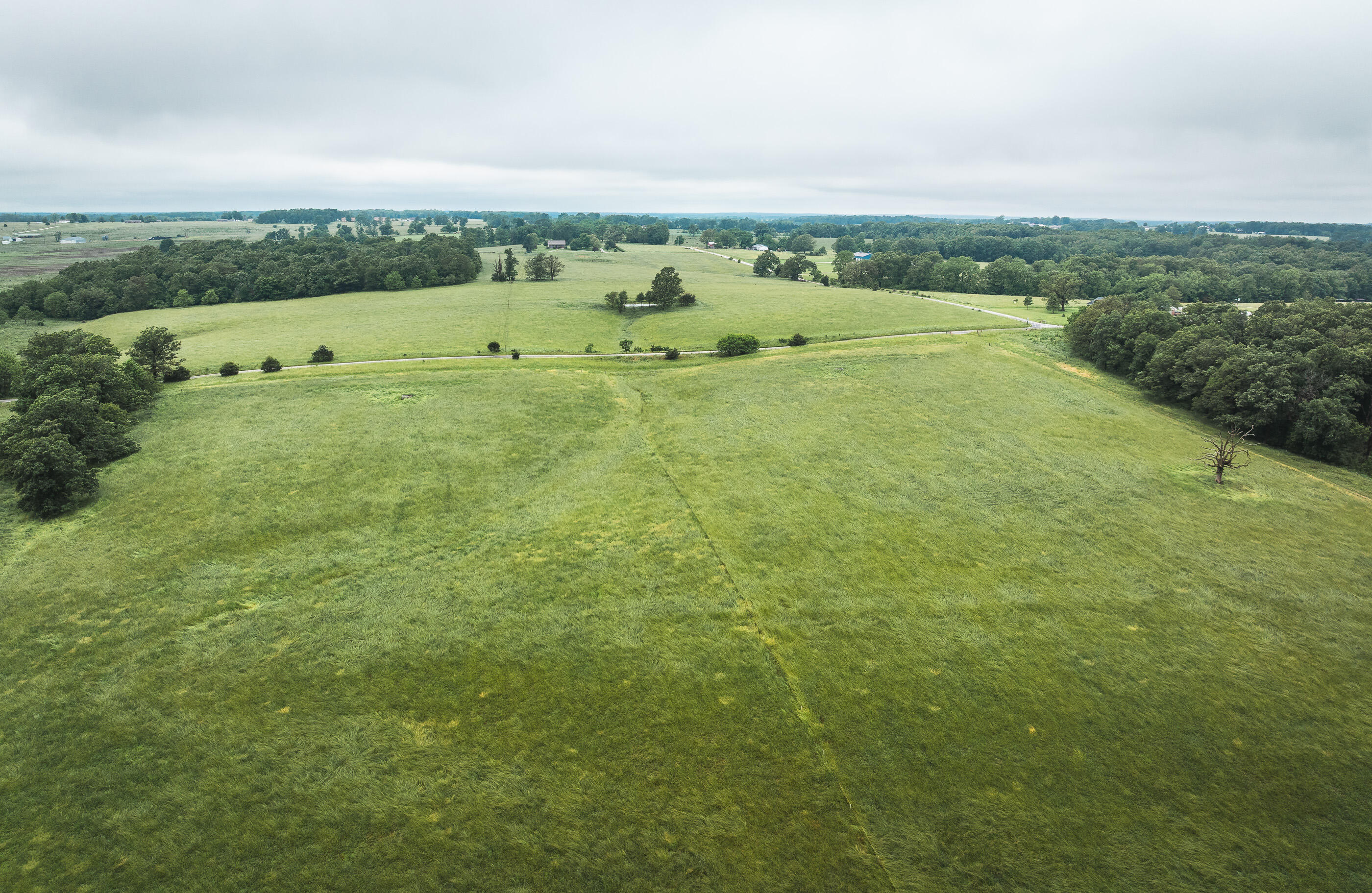 Photo 40 - Land for sale – 000  Farm Road 1200   Crane, MO