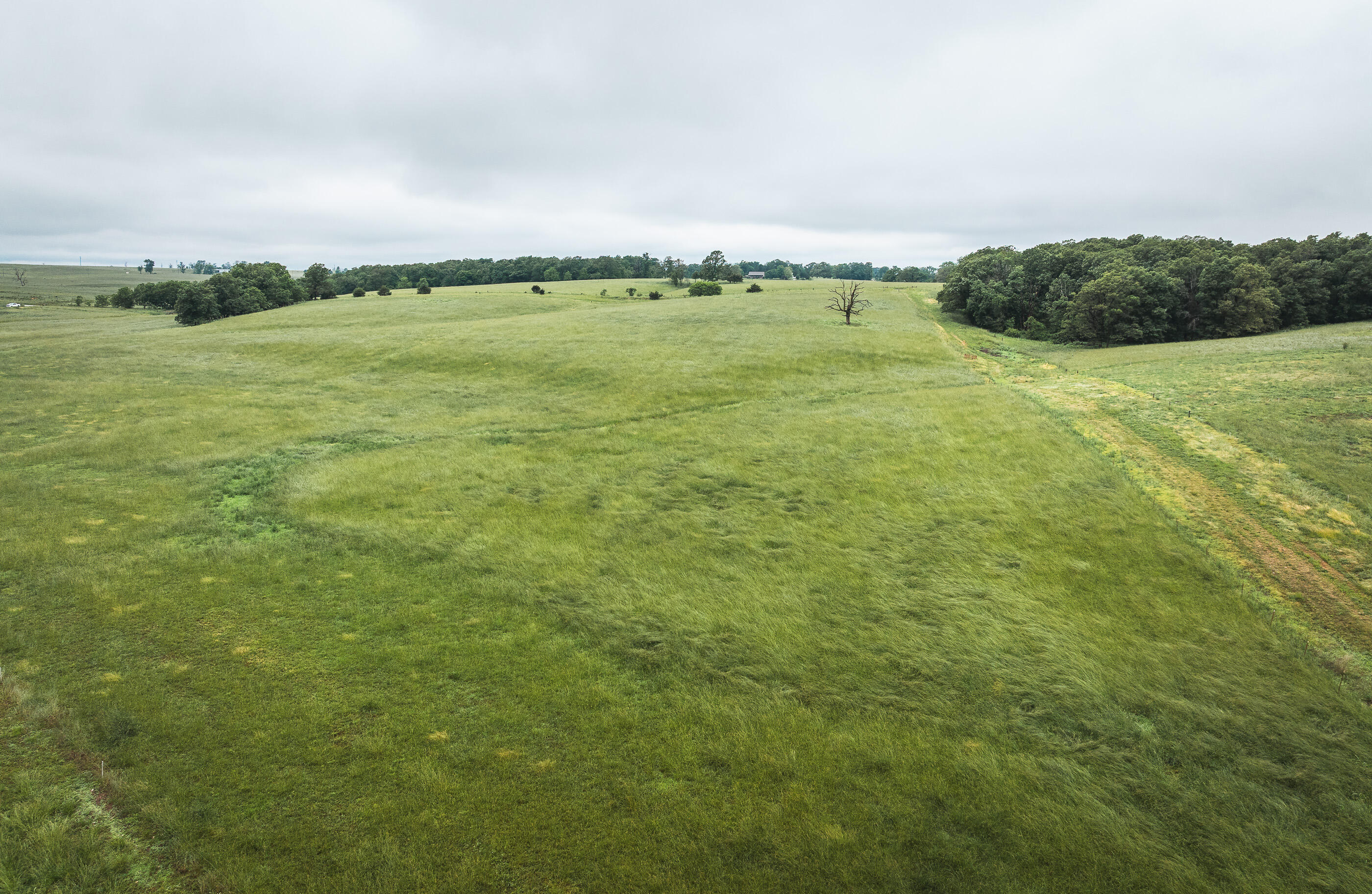 Photo 29 - Land for sale – 000  Farm Road 1200   Crane, MO