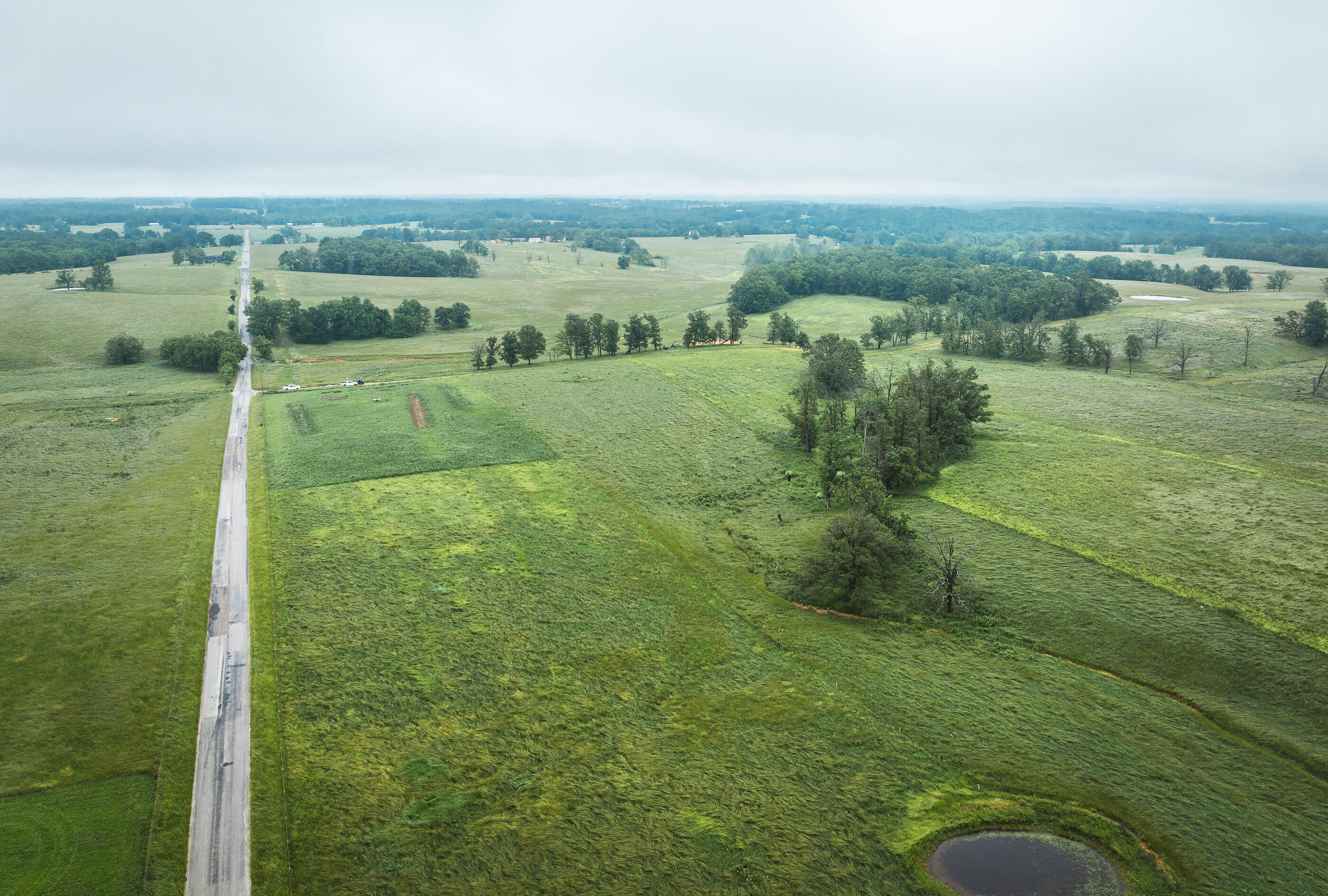 Photo 20 - Land for sale – 000  Farm Road 1200   Crane, MO