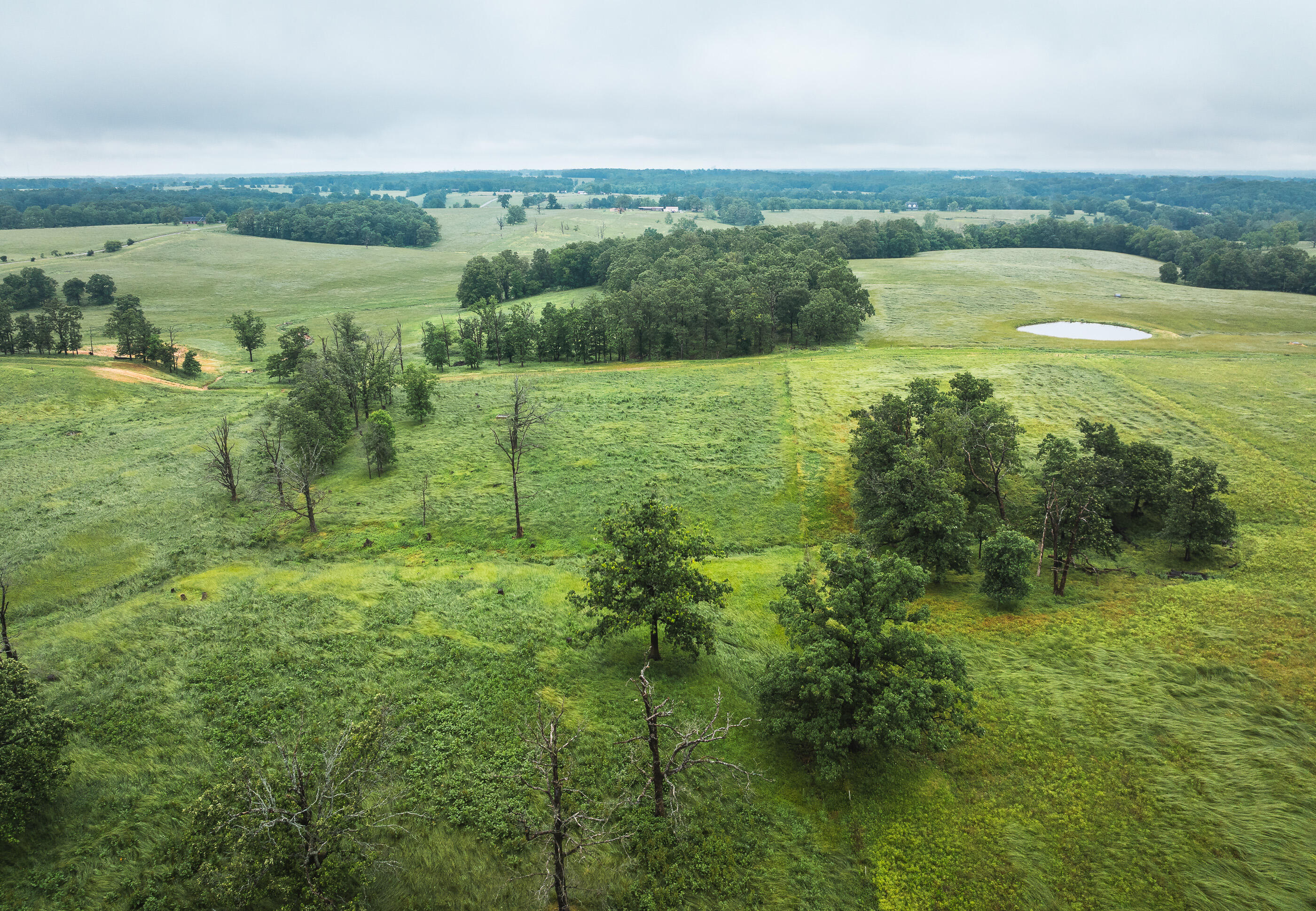 Photo 14 - Land for sale – Tract 1  Farm Road 1200   Crane, MO