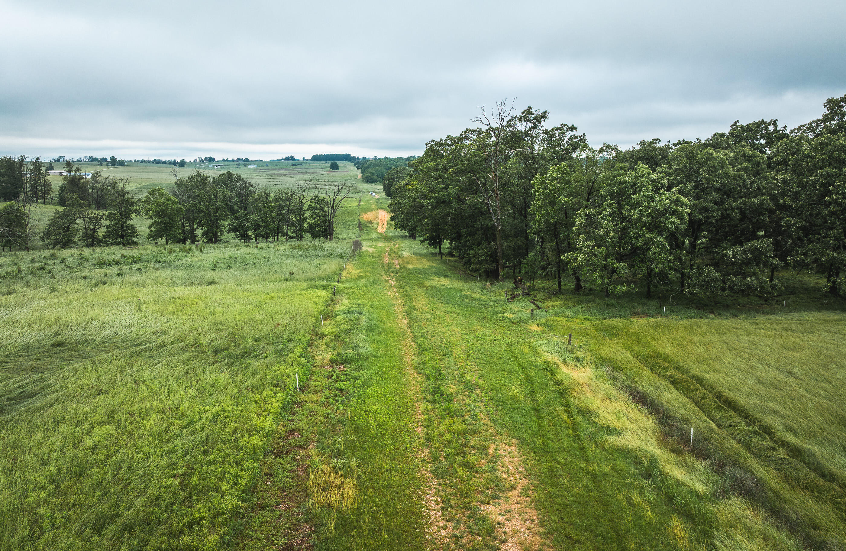 Photo 25 - Land for sale – Tract 1  Farm Road 1200   Crane, MO