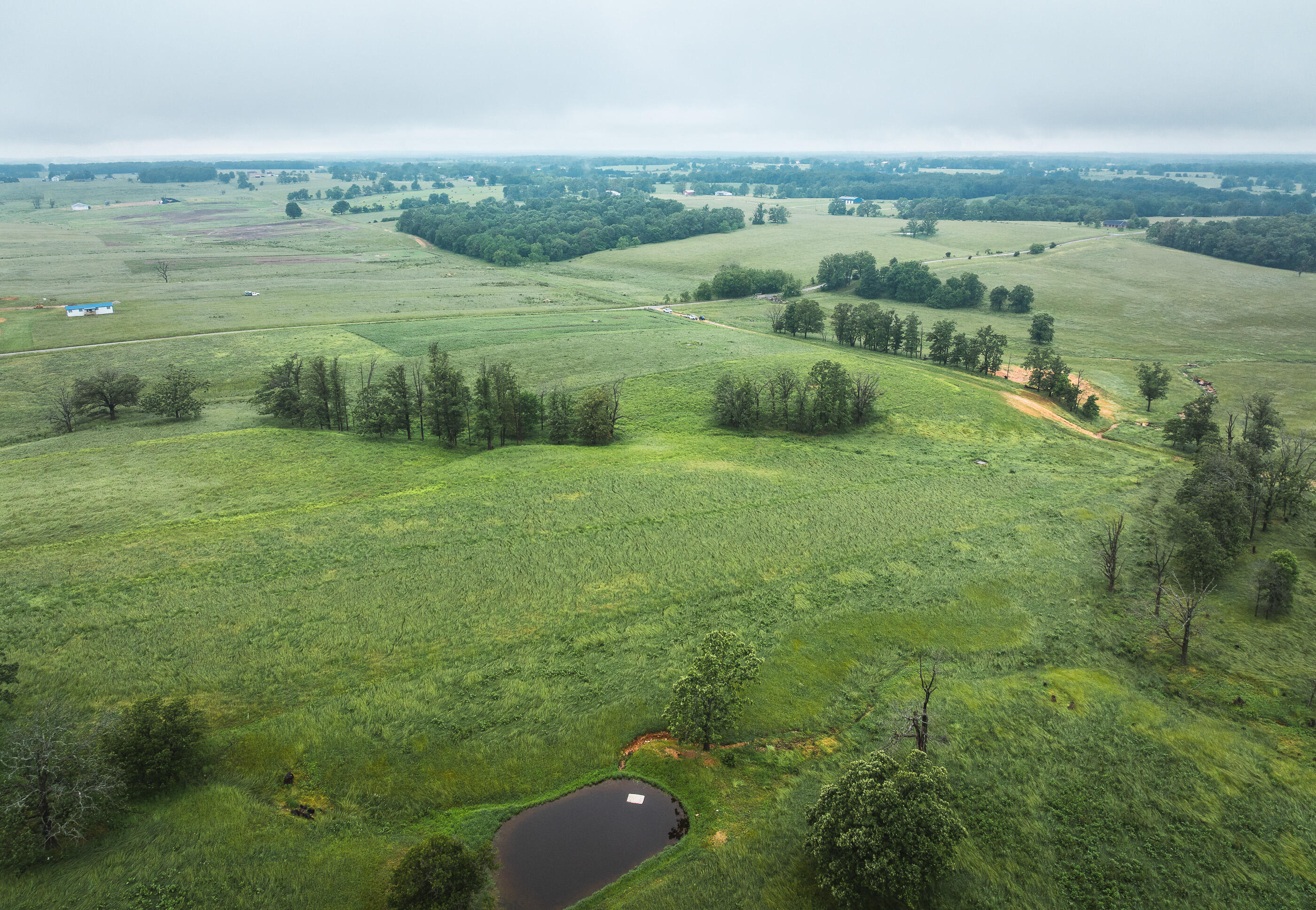 Photo 13 - Land for sale – Tract 1  Farm Road 1200   Crane, MO