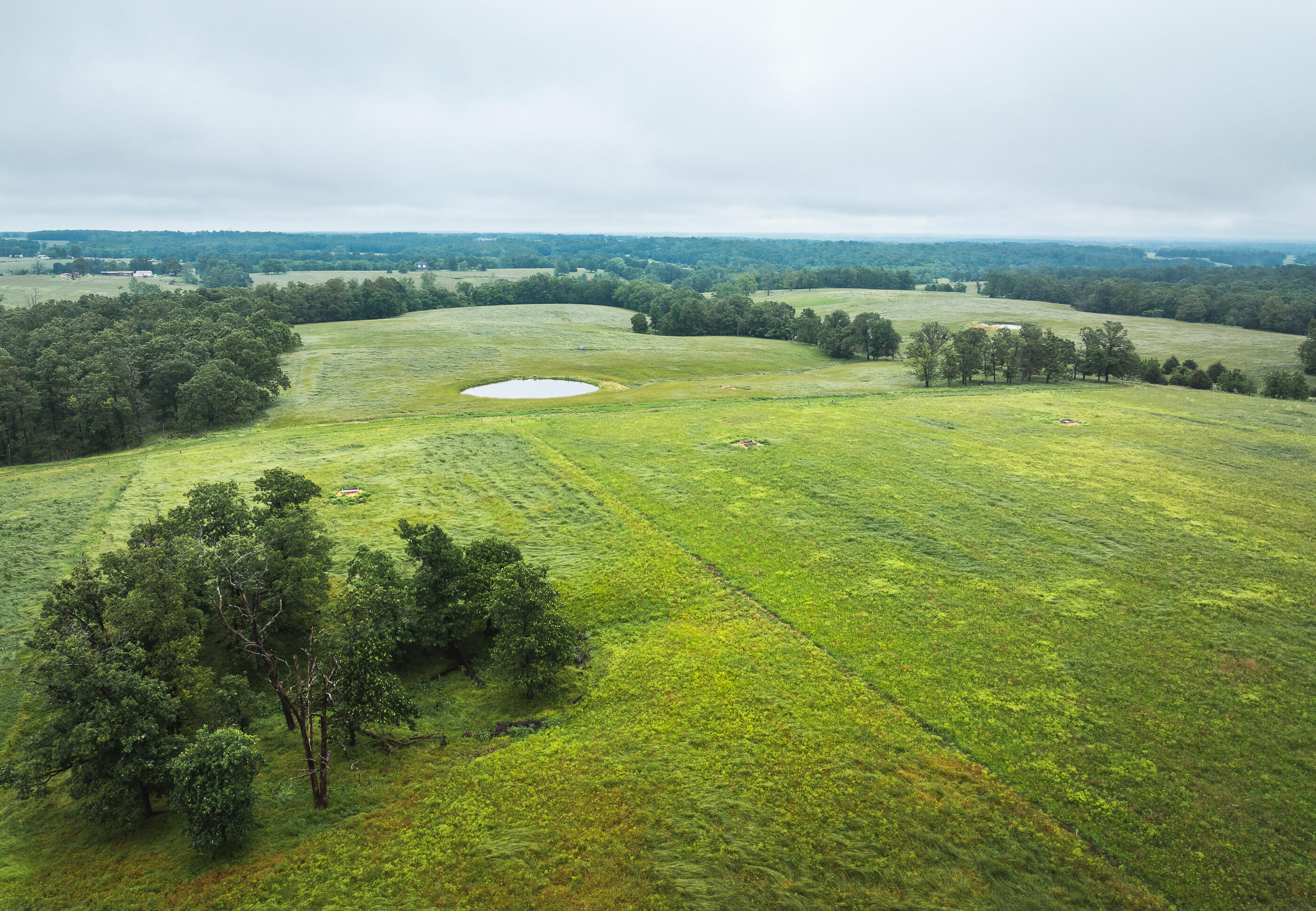 Photo 4 - Land for sale – Tract 1  Farm Road 1200   Crane, MO