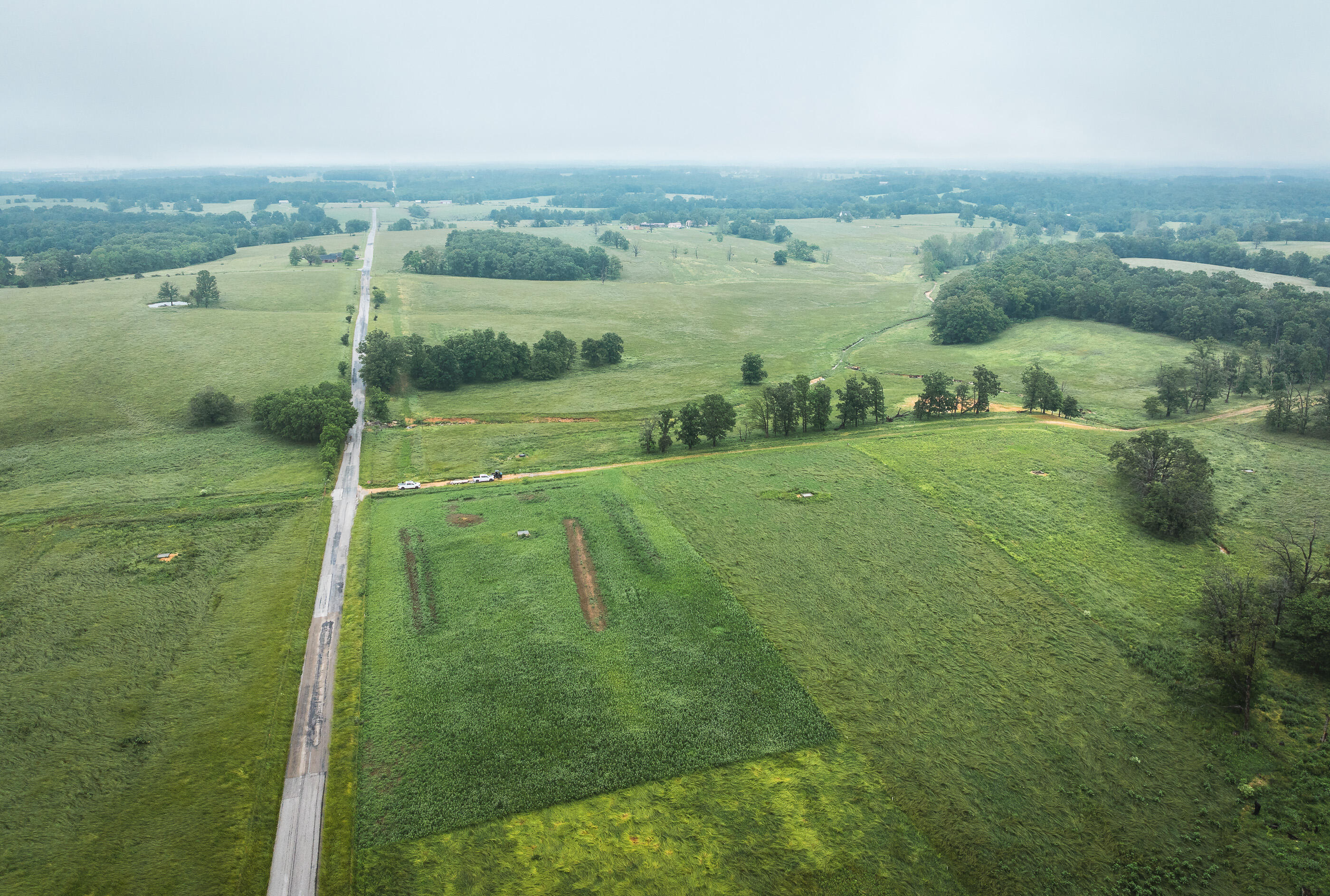Photo 9 - Land for sale – Tract 1  Farm Road 1200   Crane, MO