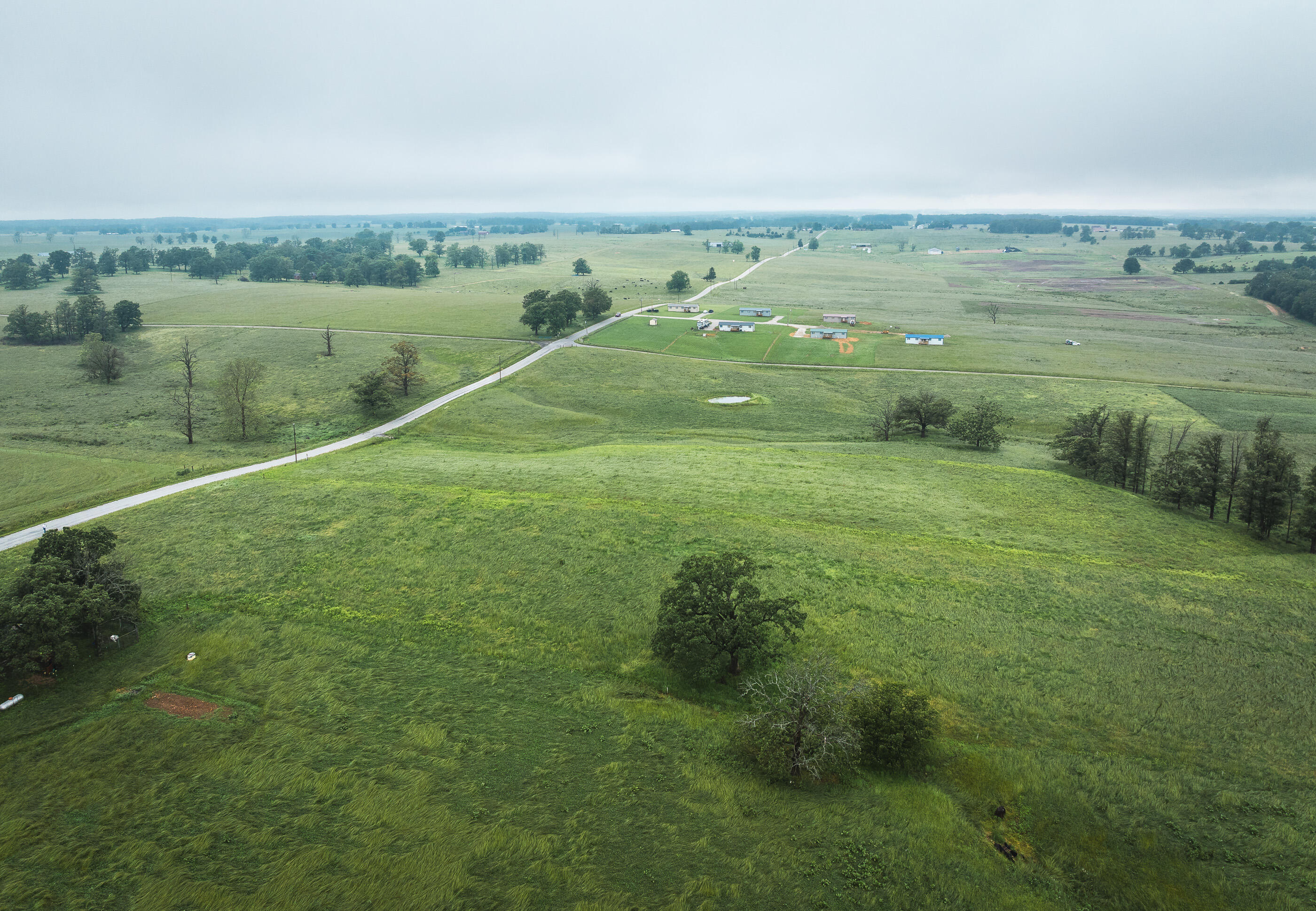 Photo 3 - Land for sale – Tract 1  Farm Road 1200   Crane, MO