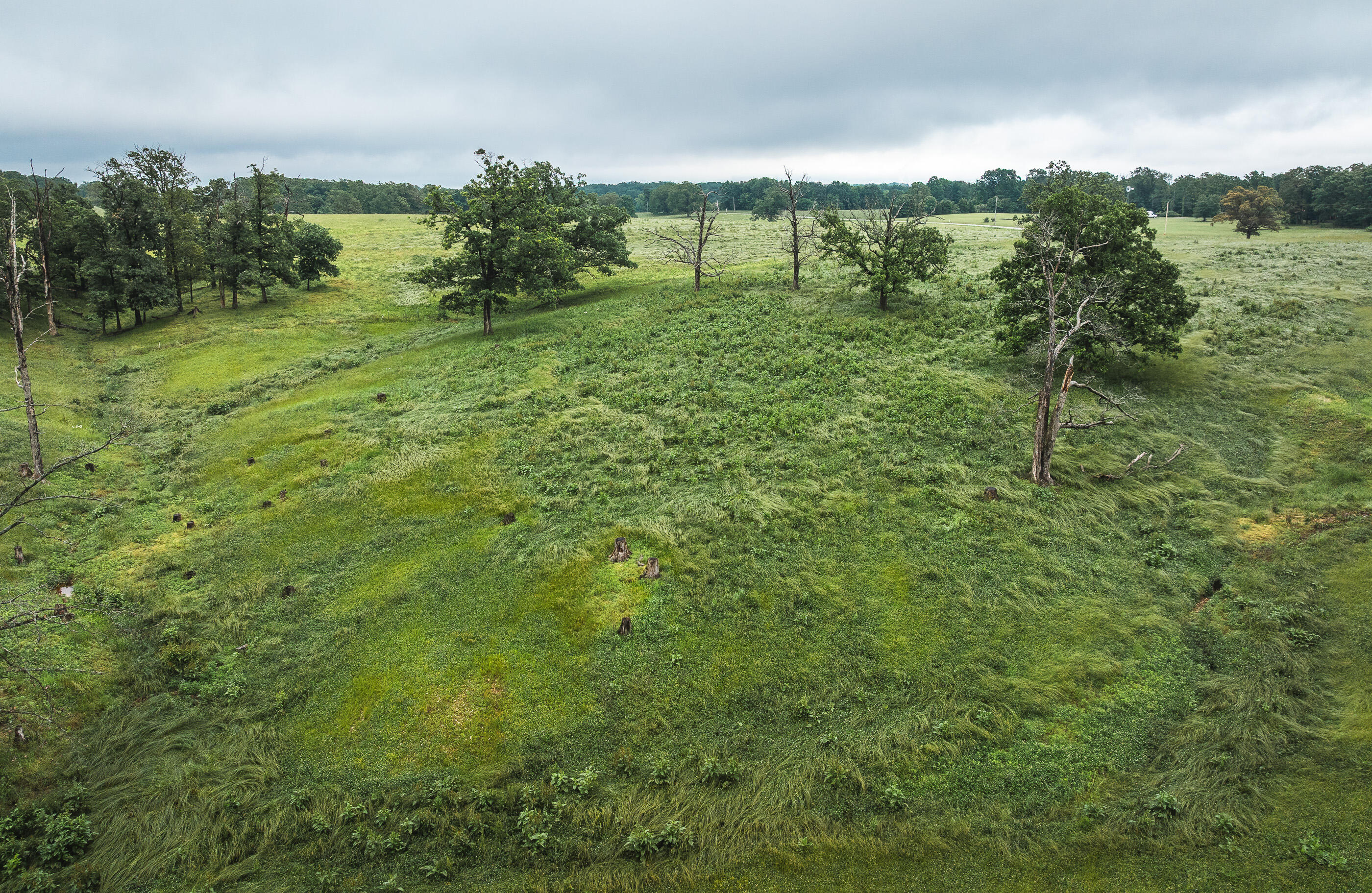 Photo 24 - Land for sale – Tract 1  Farm Road 1200   Crane, MO