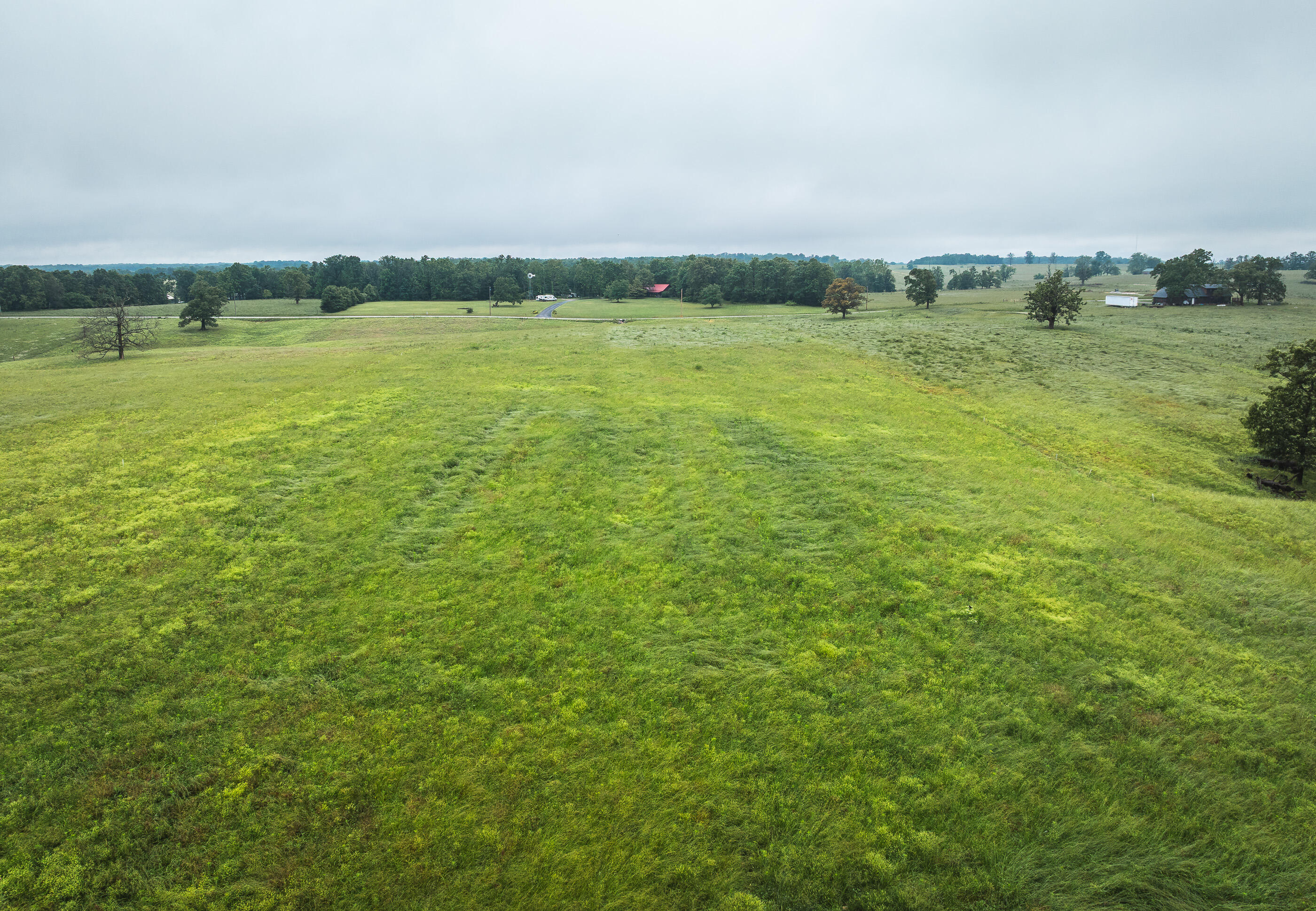 Photo 16 - Land for sale – Tract 1  Farm Road 1200   Crane, MO