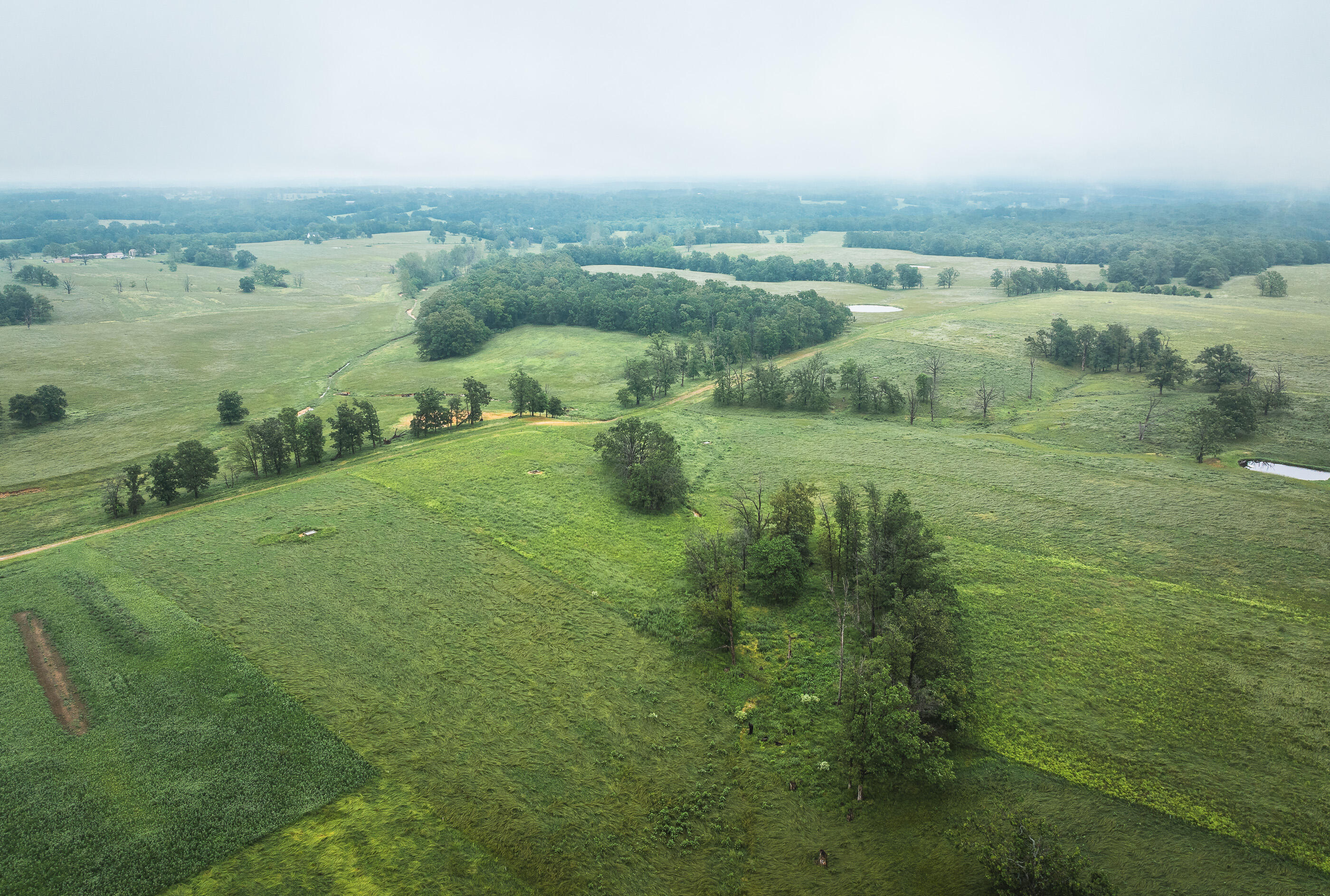 Photo 10 - Land for sale – Tract 1  Farm Road 1200   Crane, MO