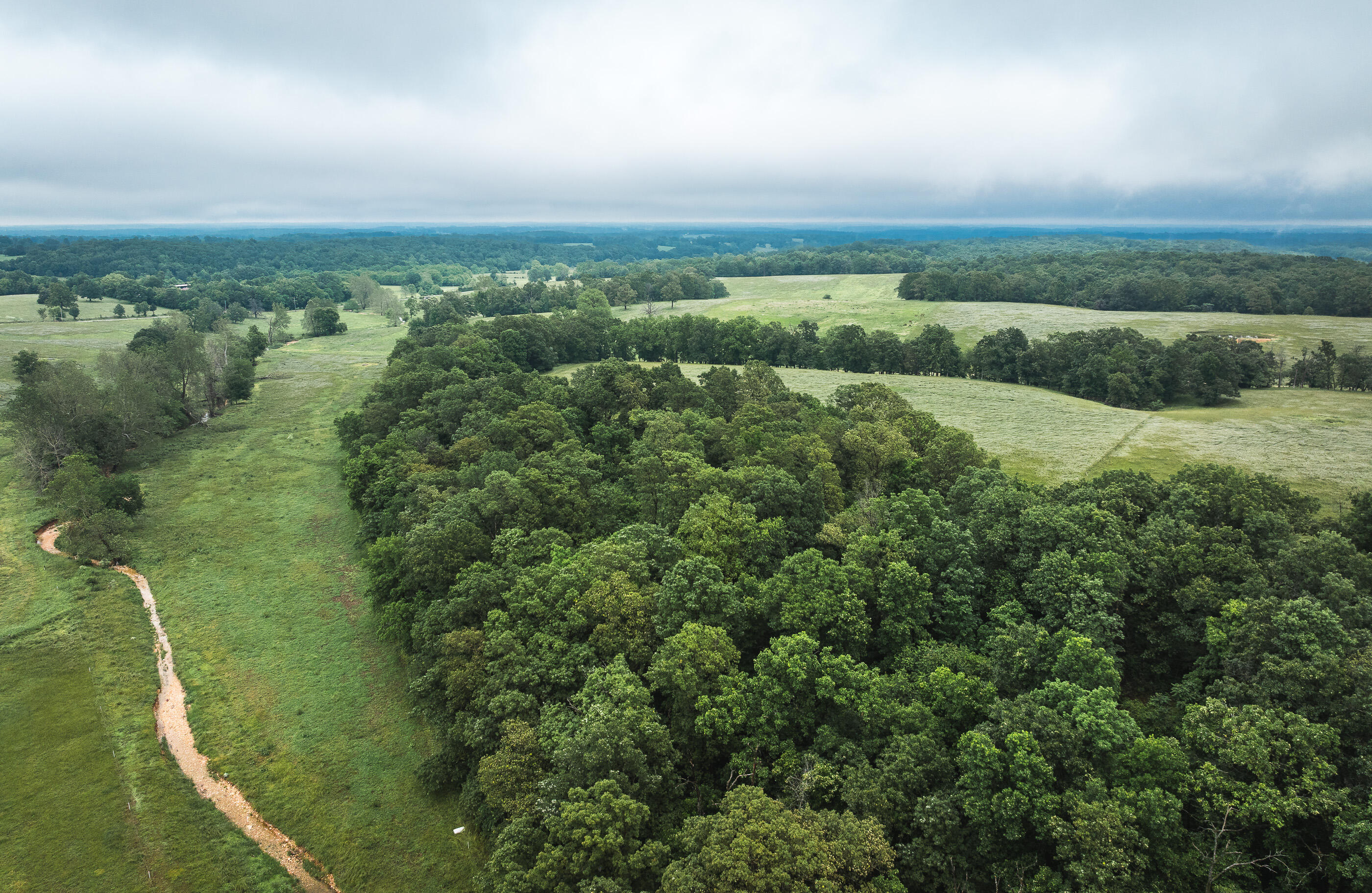 Photo 21 - Land for sale – Tract 2  Farm Road 1200   Crane, MO