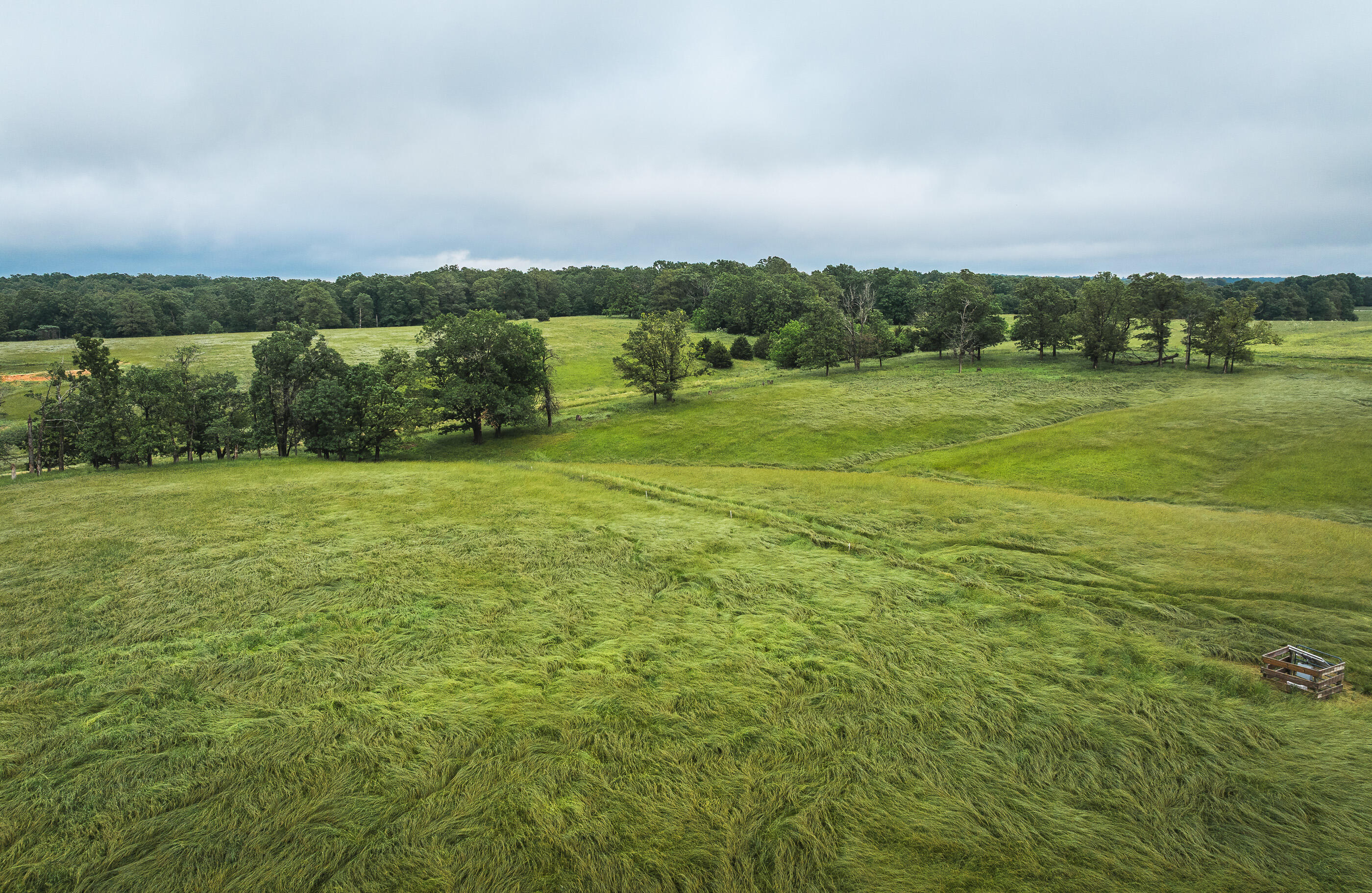 Photo 12 - Land for sale – Tract 2  Farm Road 1200   Crane, MO
