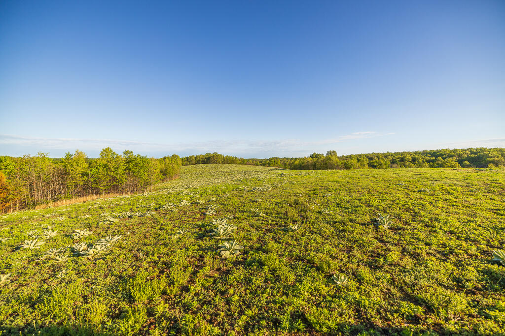 Photo 120 - Farm for sale – 13760  Junction Road  Eldridge, MO
