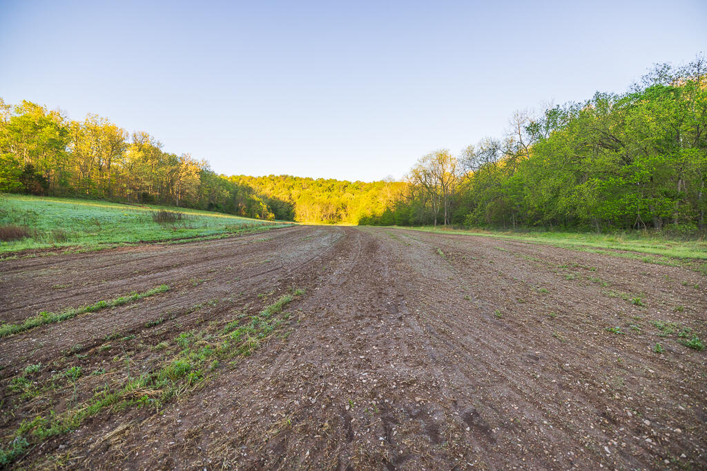 Photo 152 - Farm for sale – 13760  Junction Road  Eldridge, MO