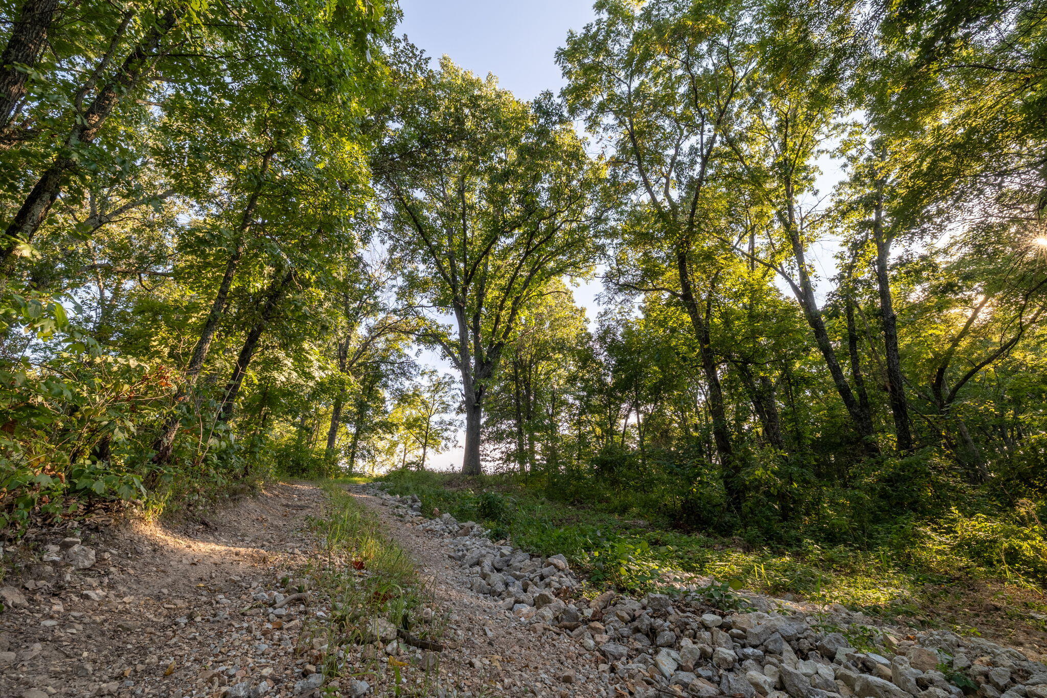 Photo 159 - Farm for sale – 13760  Junction Road  Eldridge, MO