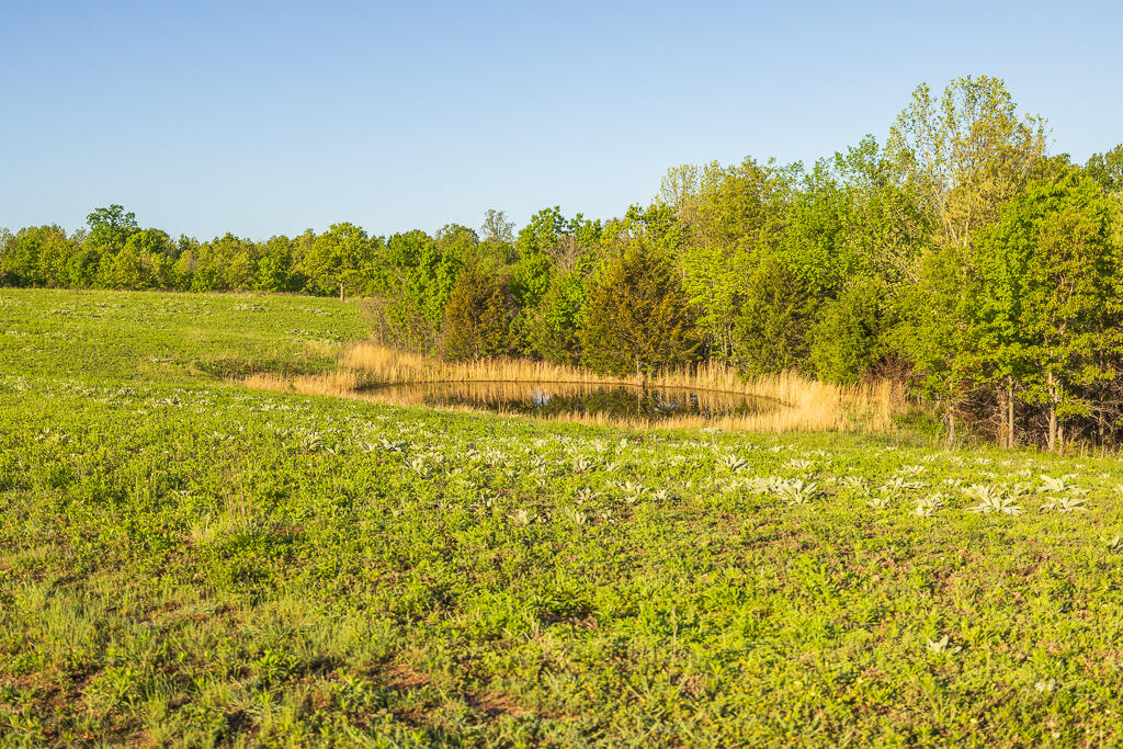 Photo 121 - Farm for sale – 13760  Junction Road  Eldridge, MO