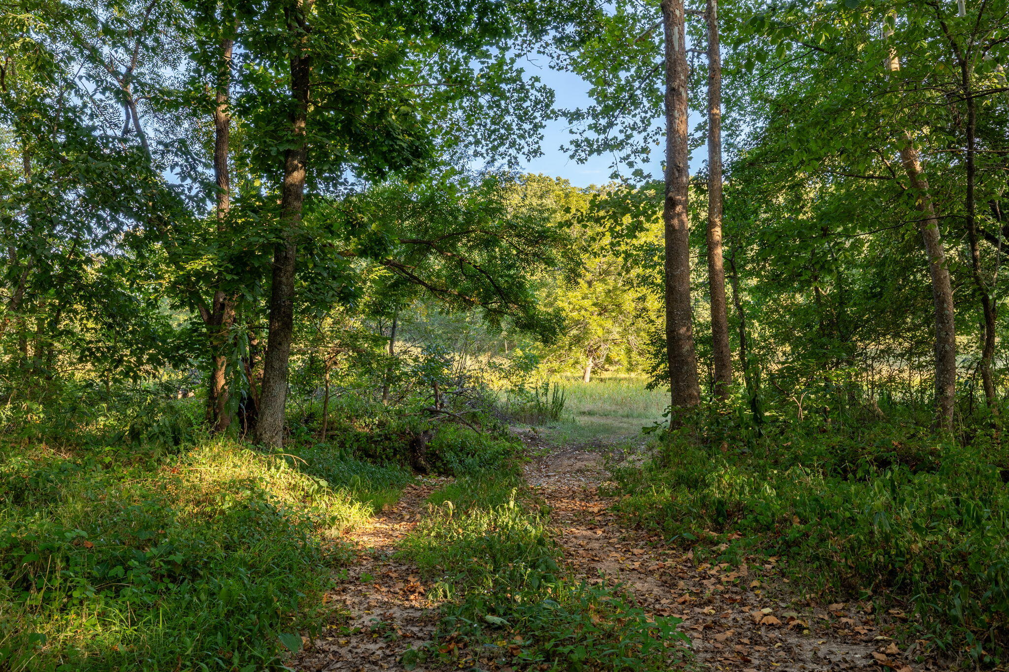 Photo 167 - Farm for sale – 13760  Junction Road  Eldridge, MO