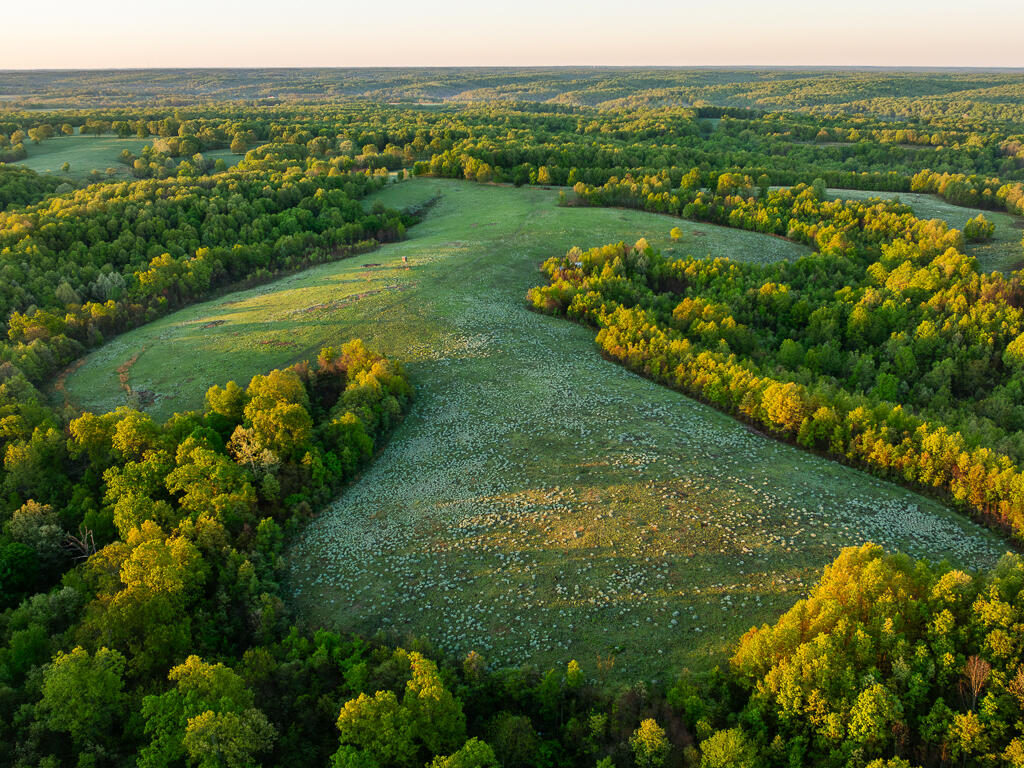 Photo 58 - Farm for sale – 13760  Junction Road  Eldridge, MO