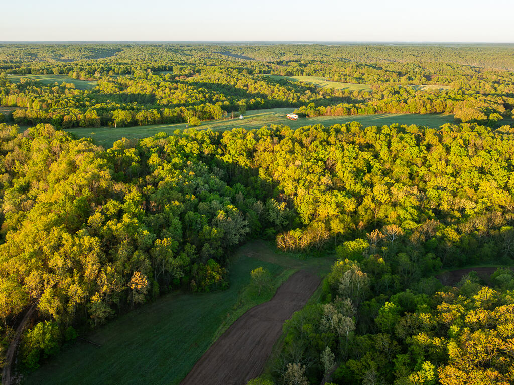 Photo 55 - Farm for sale – 13760  Junction Road  Eldridge, MO