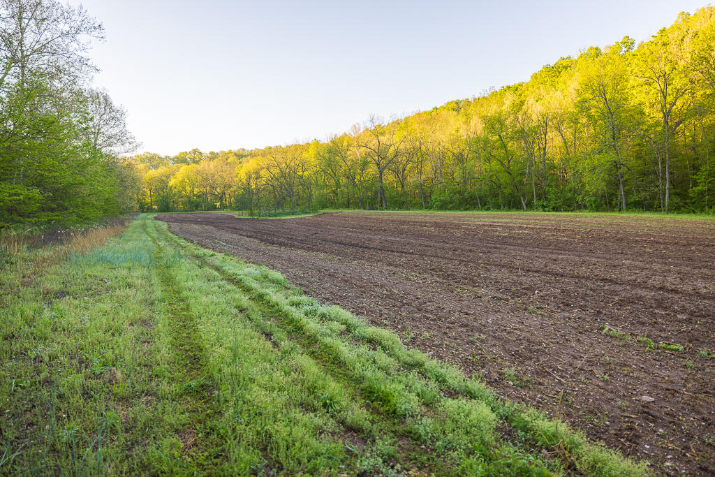 Photo 147 - Farm for sale – 13760  Junction Road  Eldridge, MO