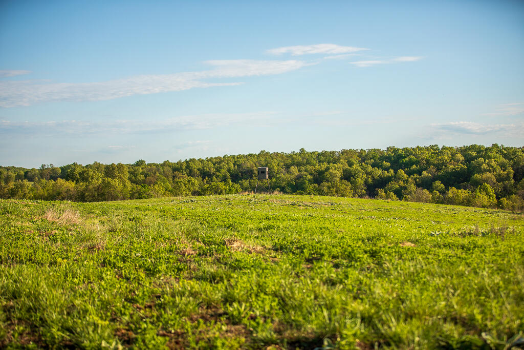 Photo 104 - Farm for sale – 13760  Junction Road  Eldridge, MO