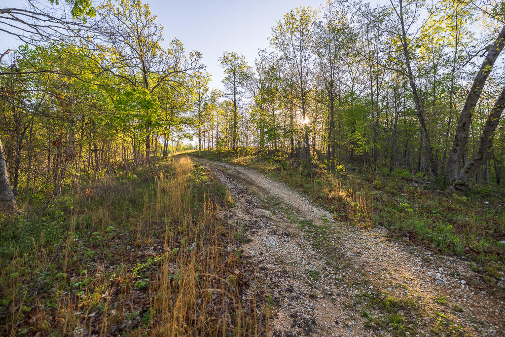 Photo 129 - Farm for sale – 13760  Junction Road  Eldridge, MO