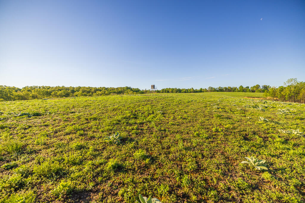 Photo 124 - Farm for sale – 13760  Junction Road  Eldridge, MO