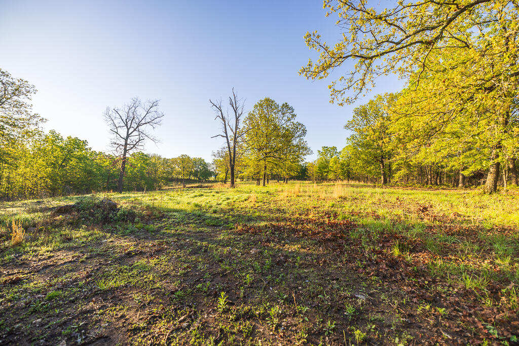 Photo 136 - Farm for sale – 13760  Junction Road  Eldridge, MO