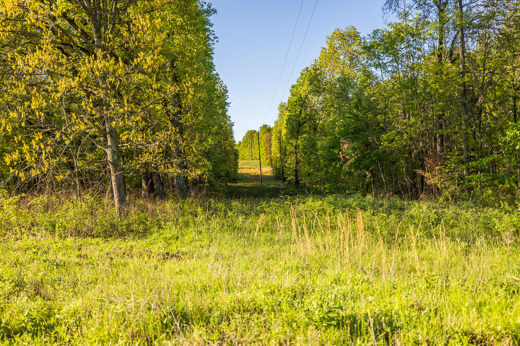 Photo 118 - Farm for sale – 13760  Junction Road  Eldridge, MO