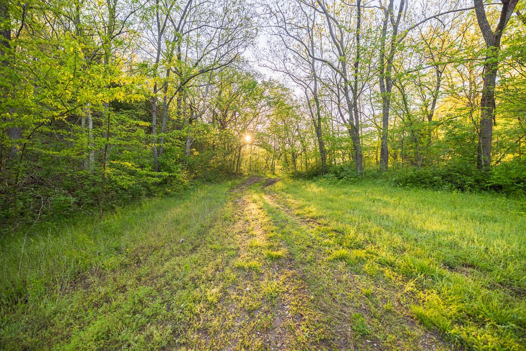 Photo 148 - Farm for sale – 13760  Junction Road  Eldridge, MO