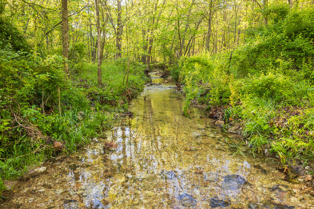Photo 128 - Farm for sale – 13760  Junction Road  Eldridge, MO
