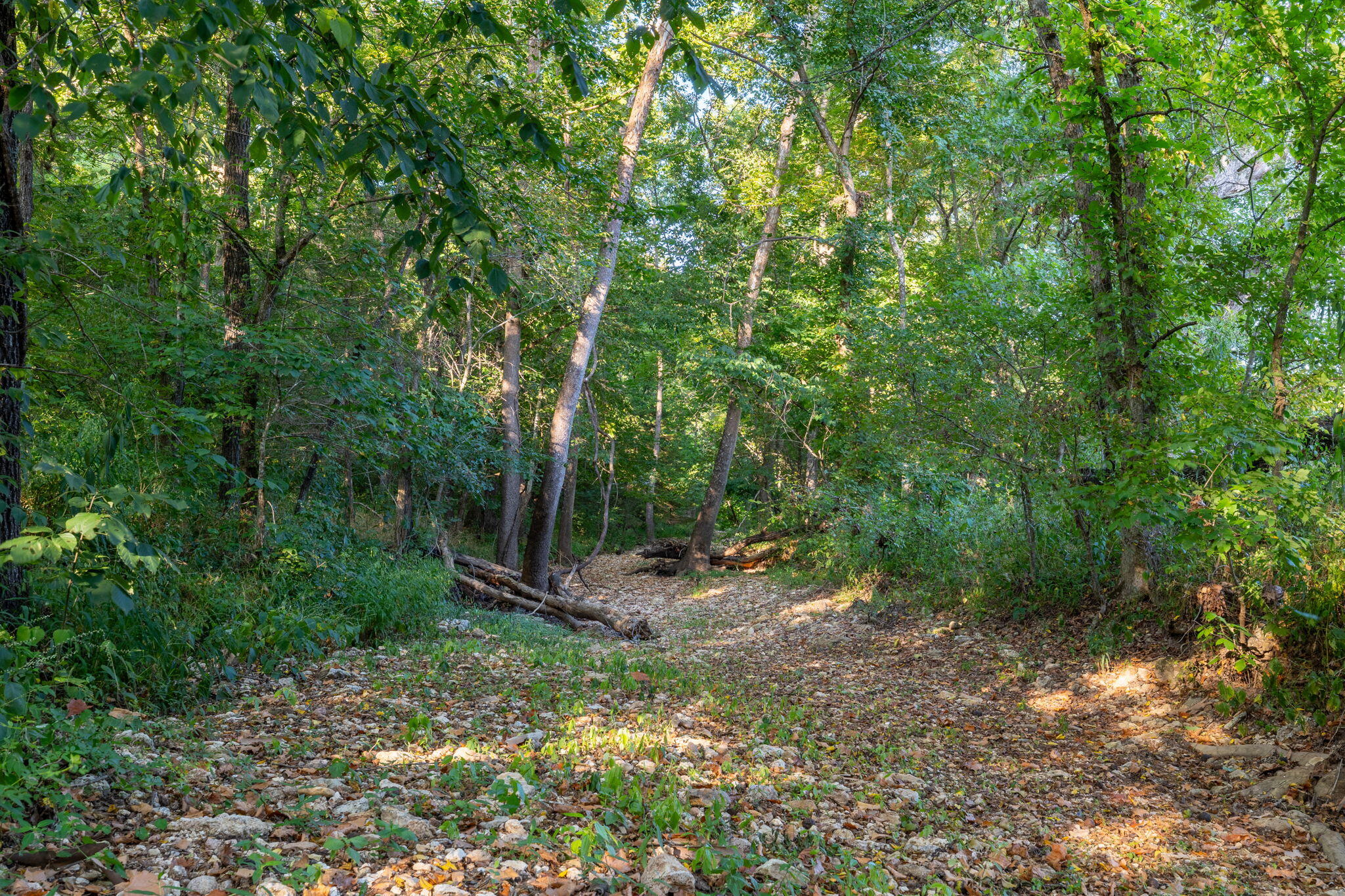Photo 163 - Farm for sale – 13760  Junction Road  Eldridge, MO