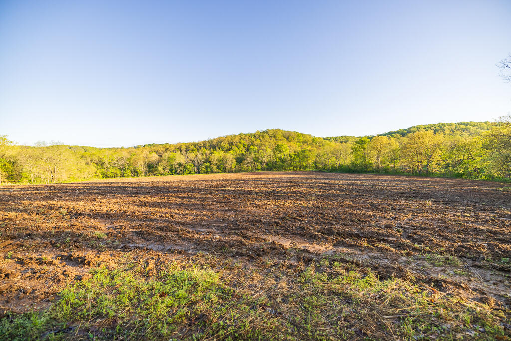 Photo 138 - Farm for sale – 13760  Junction Road  Eldridge, MO