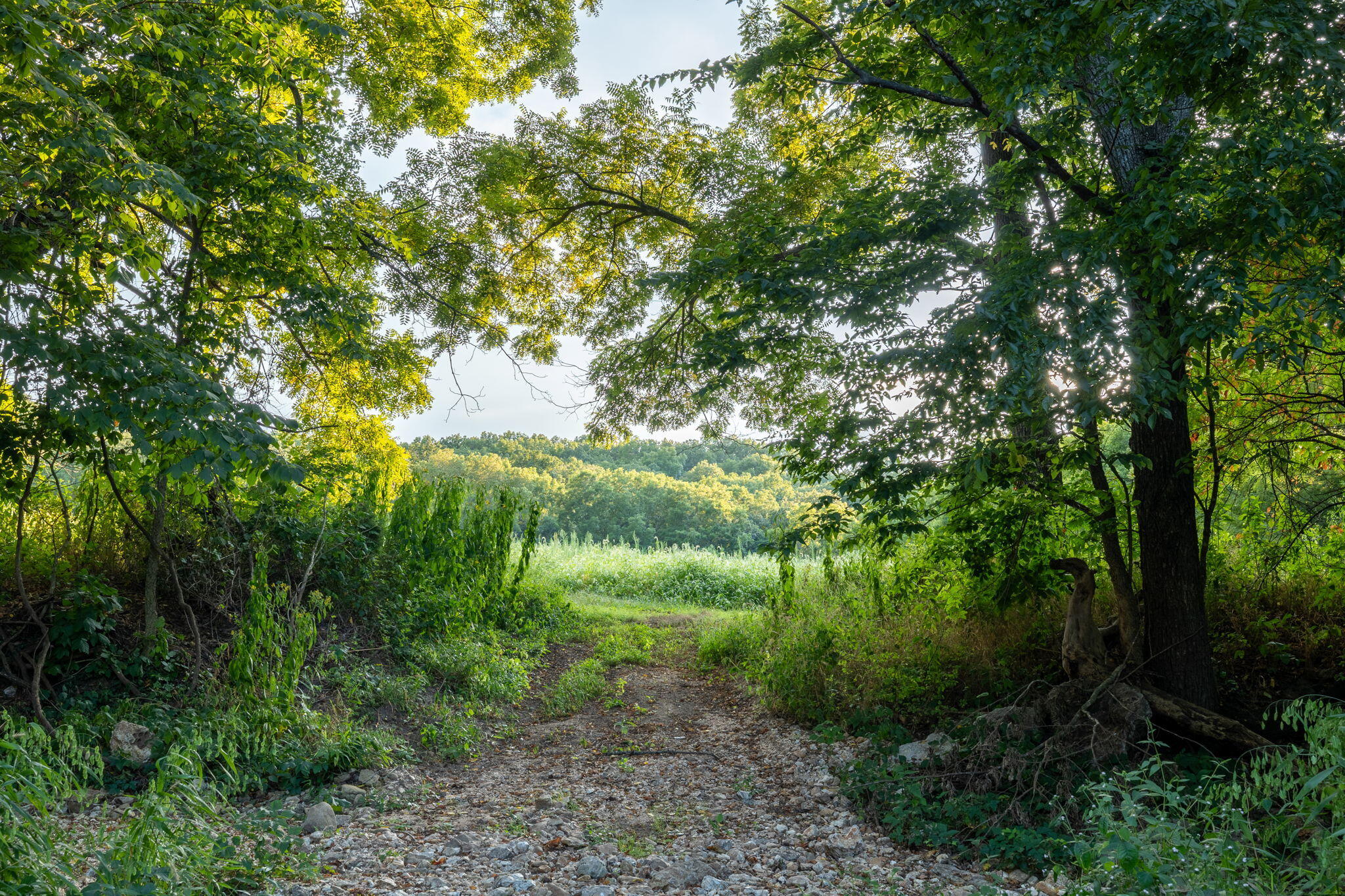 Photo 170 - Farm for sale – 13760  Junction Road  Eldridge, MO