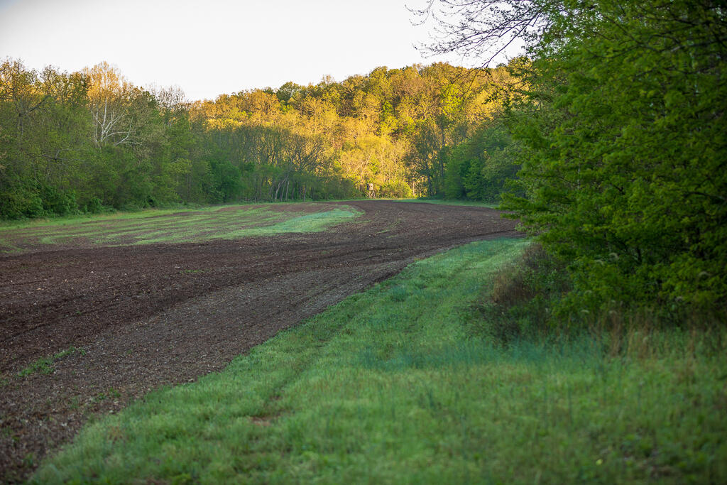 Photo 113 - Farm for sale – 13760  Junction Road  Eldridge, MO