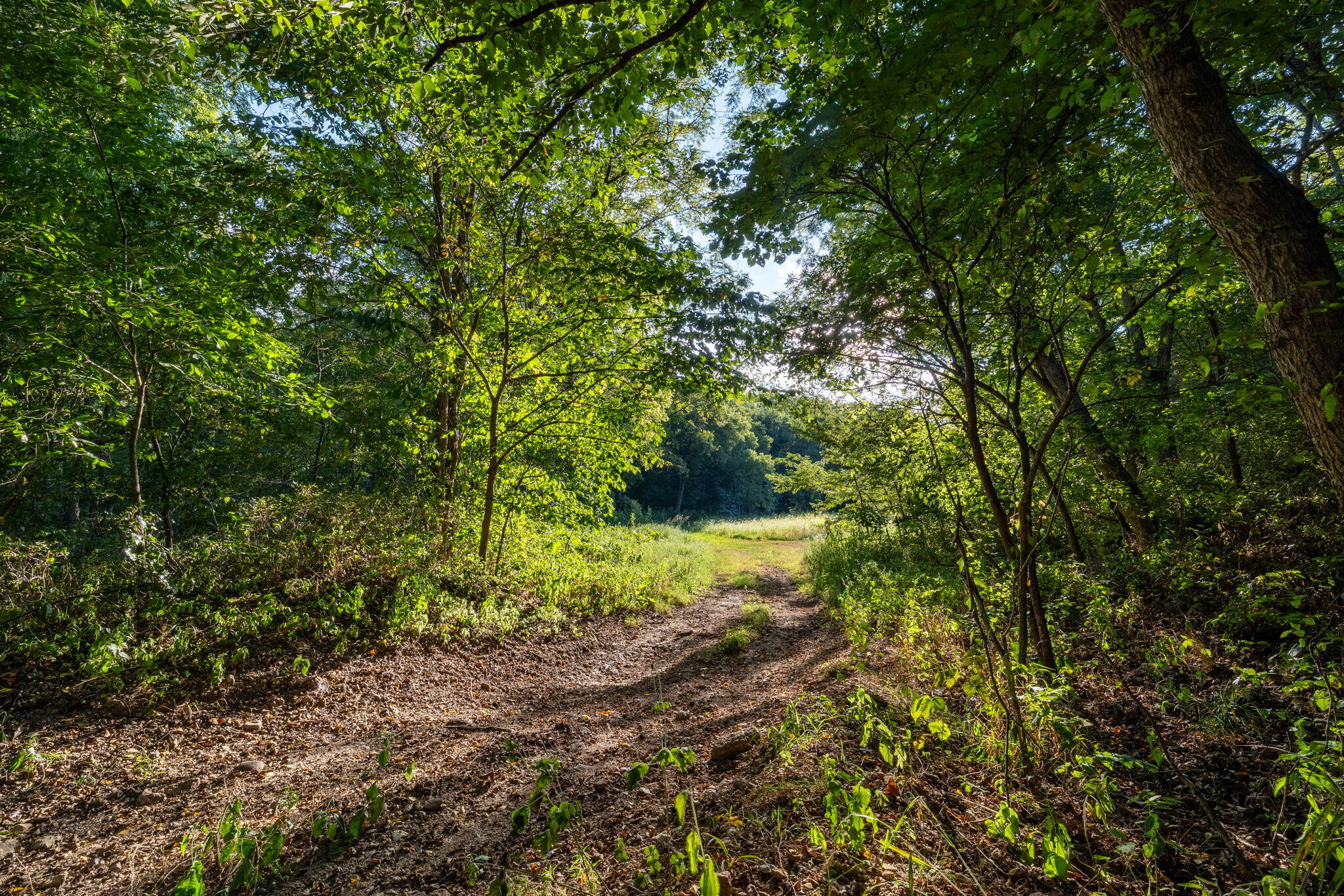 Photo 166 - Farm for sale – 13760  Junction Road  Eldridge, MO