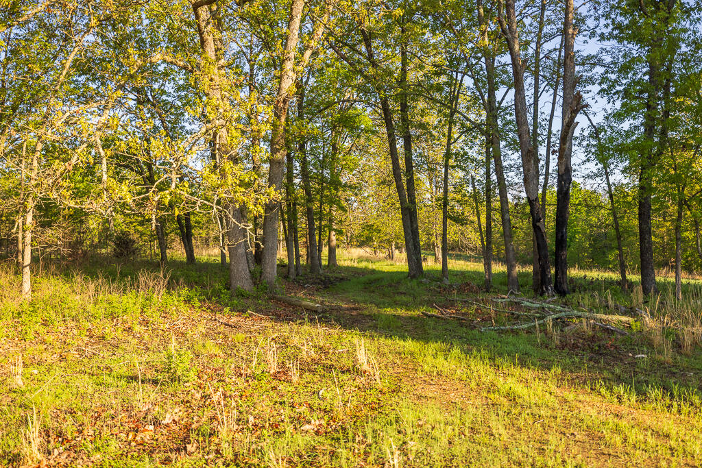 Photo 132 - Farm for sale – 13760  Junction Road  Eldridge, MO