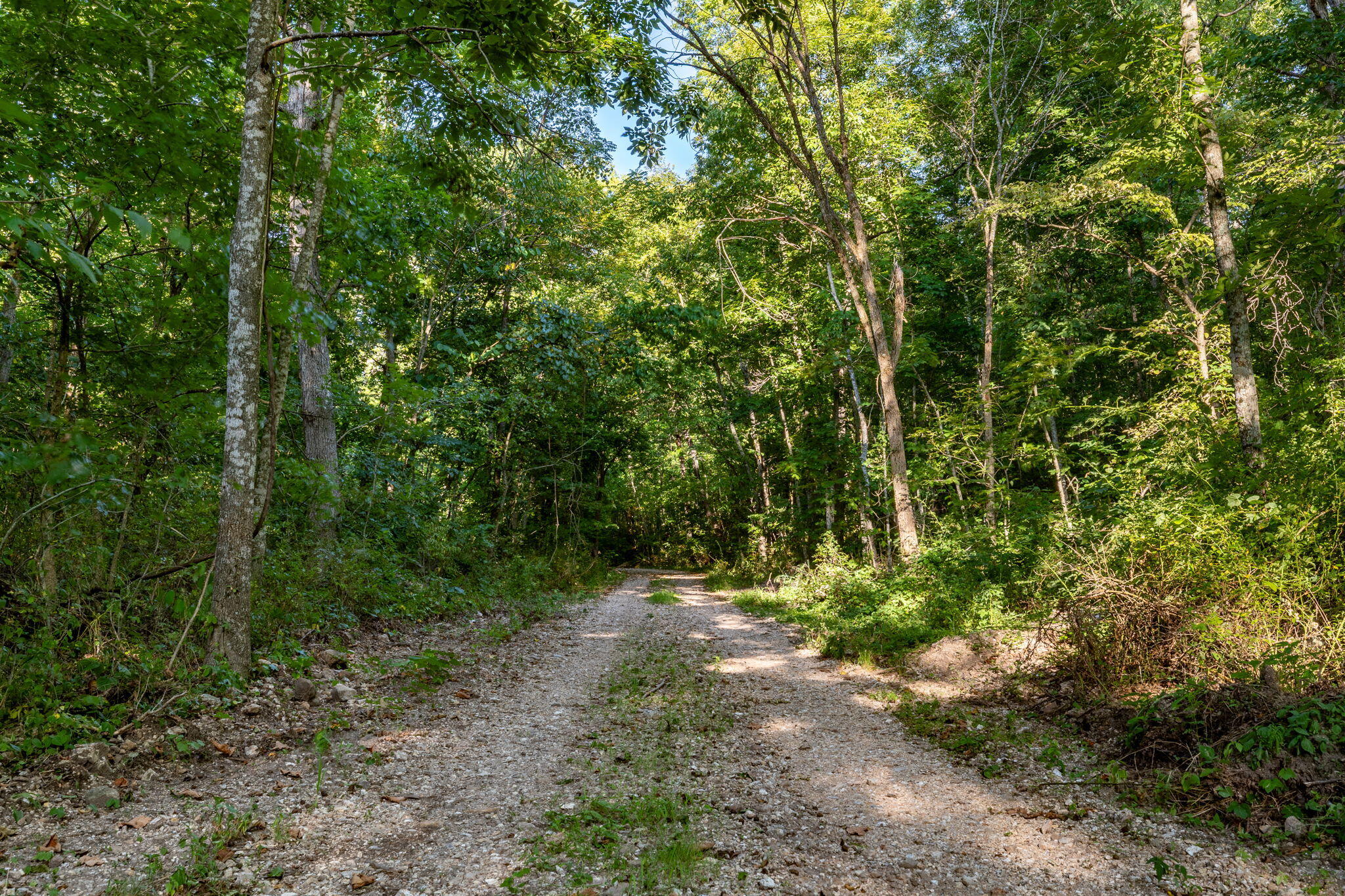 Photo 161 - Farm for sale – 13760  Junction Road  Eldridge, MO