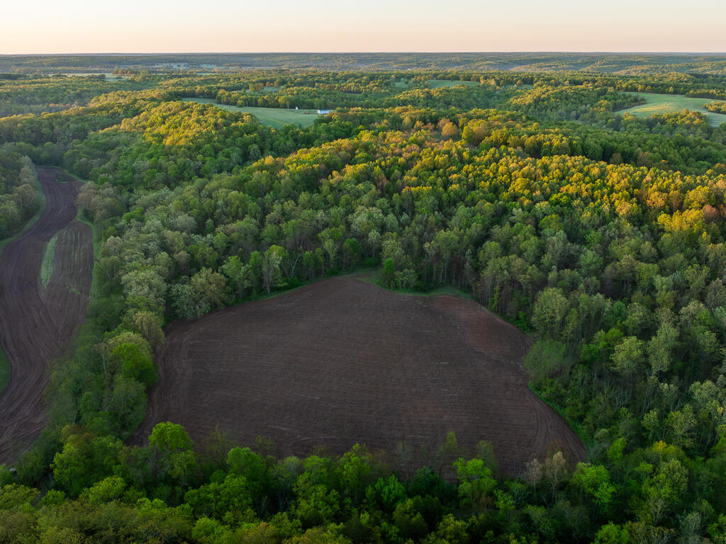 Photo 50 - Farm for sale – 13760  Junction Road  Eldridge, MO