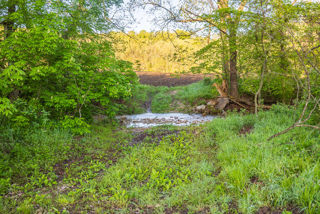 Photo 140 - Farm for sale – 13760  Junction Road  Eldridge, MO