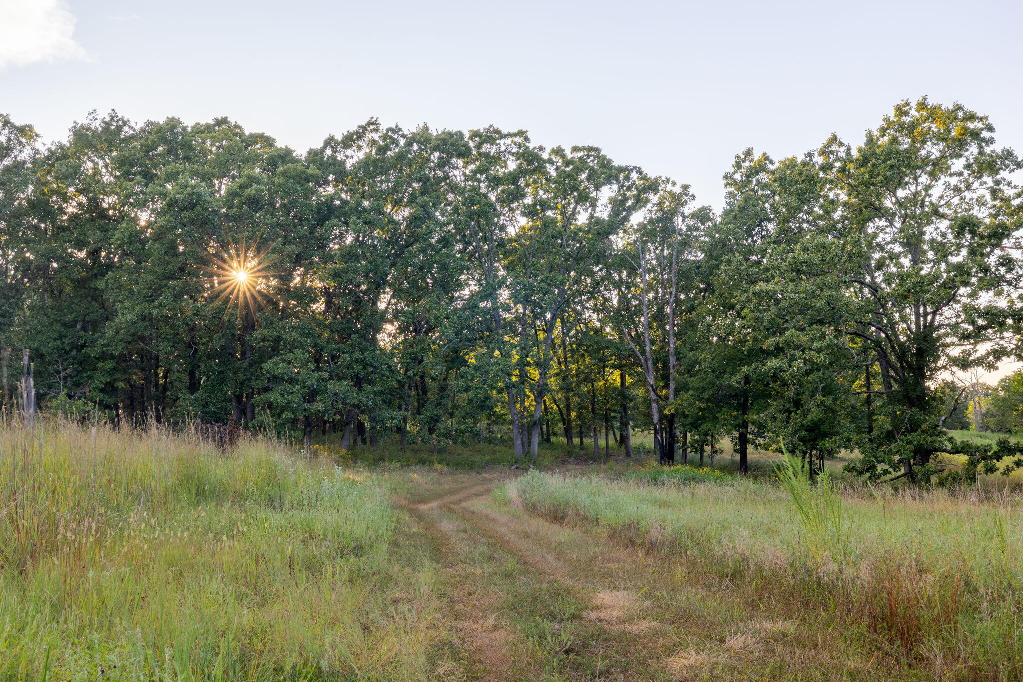 Photo 171 - Farm for sale – 13760  Junction Road  Eldridge, MO