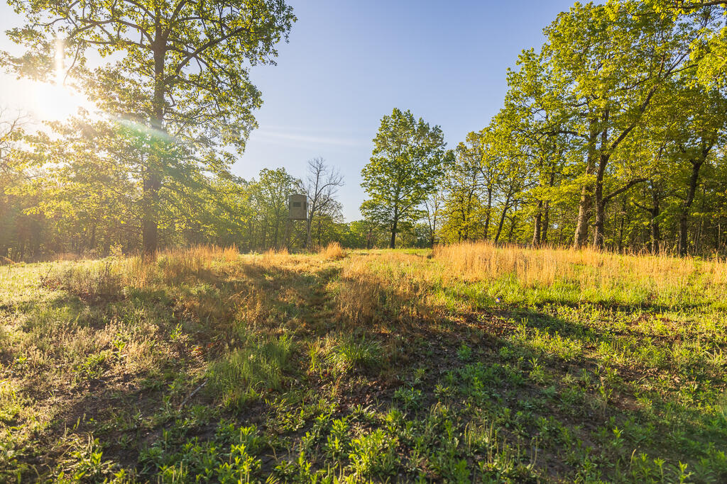 Photo 133 - Farm for sale – 13760  Junction Road  Eldridge, MO