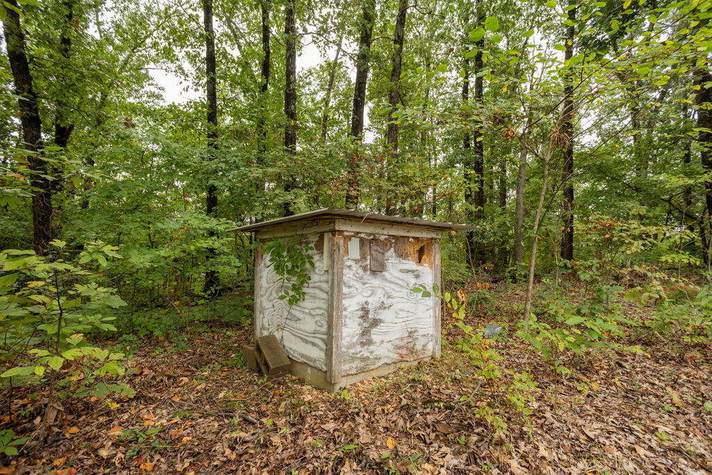 Photo 7 - Land for sale – 000  Cowan Ridge Rd   Powell, MO