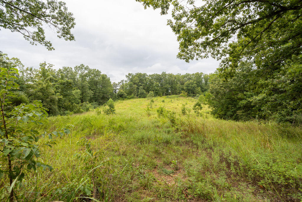 Photo 10 - Land for sale – 000  Cowan Ridge Rd   Powell, MO