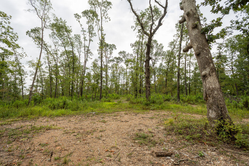 Photo 11 - Land for sale – 000  Cowan Ridge Rd   Powell, MO