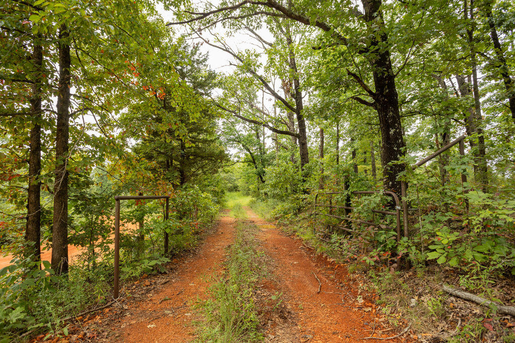 Photo 12 - Land for sale – 000  Cowan Ridge Rd   Powell, MO