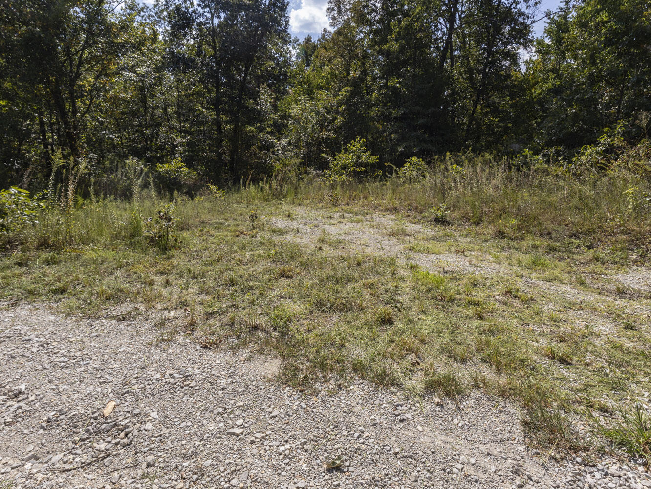 Photo 16 - Land for sale – 000  State Highway Ak   Ava, MO