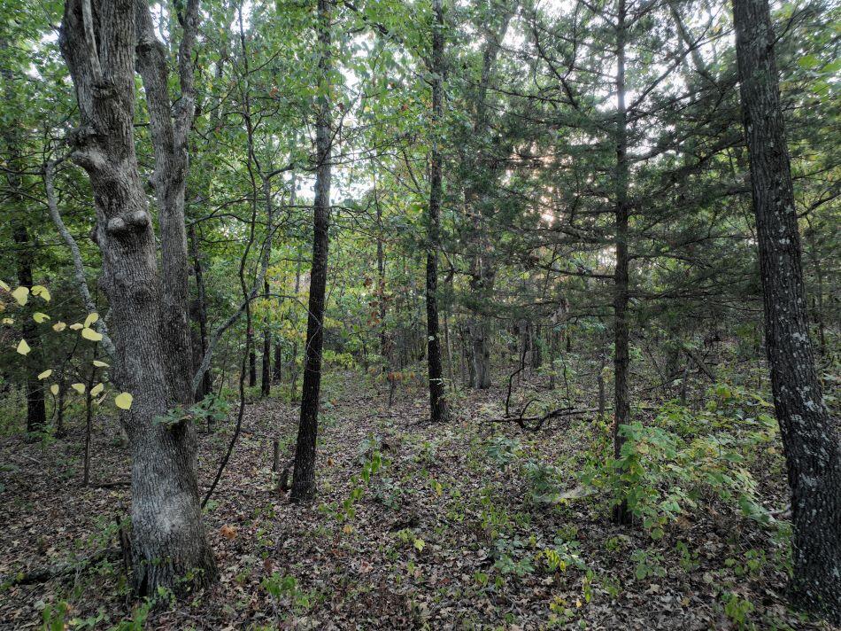 Photo 8 - Land for sale – 000  State Highway Ak   Ava, MO